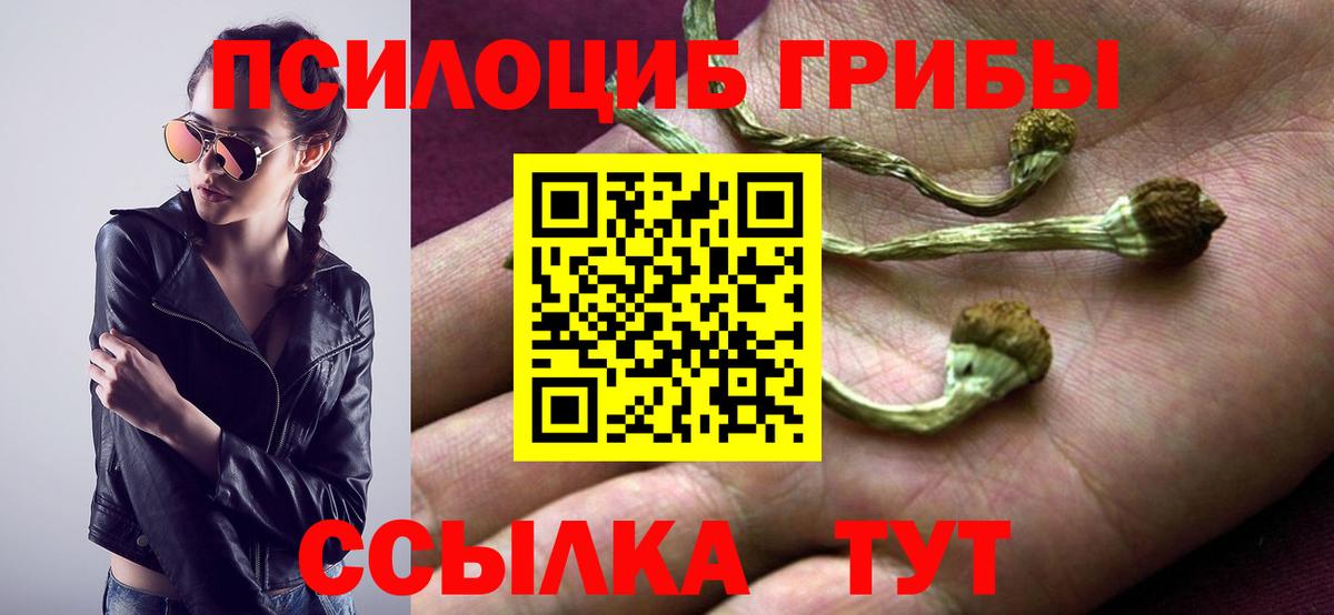 Ногинск  Галлюциногенные грибы Magic Shrooms  Вход с VPN 